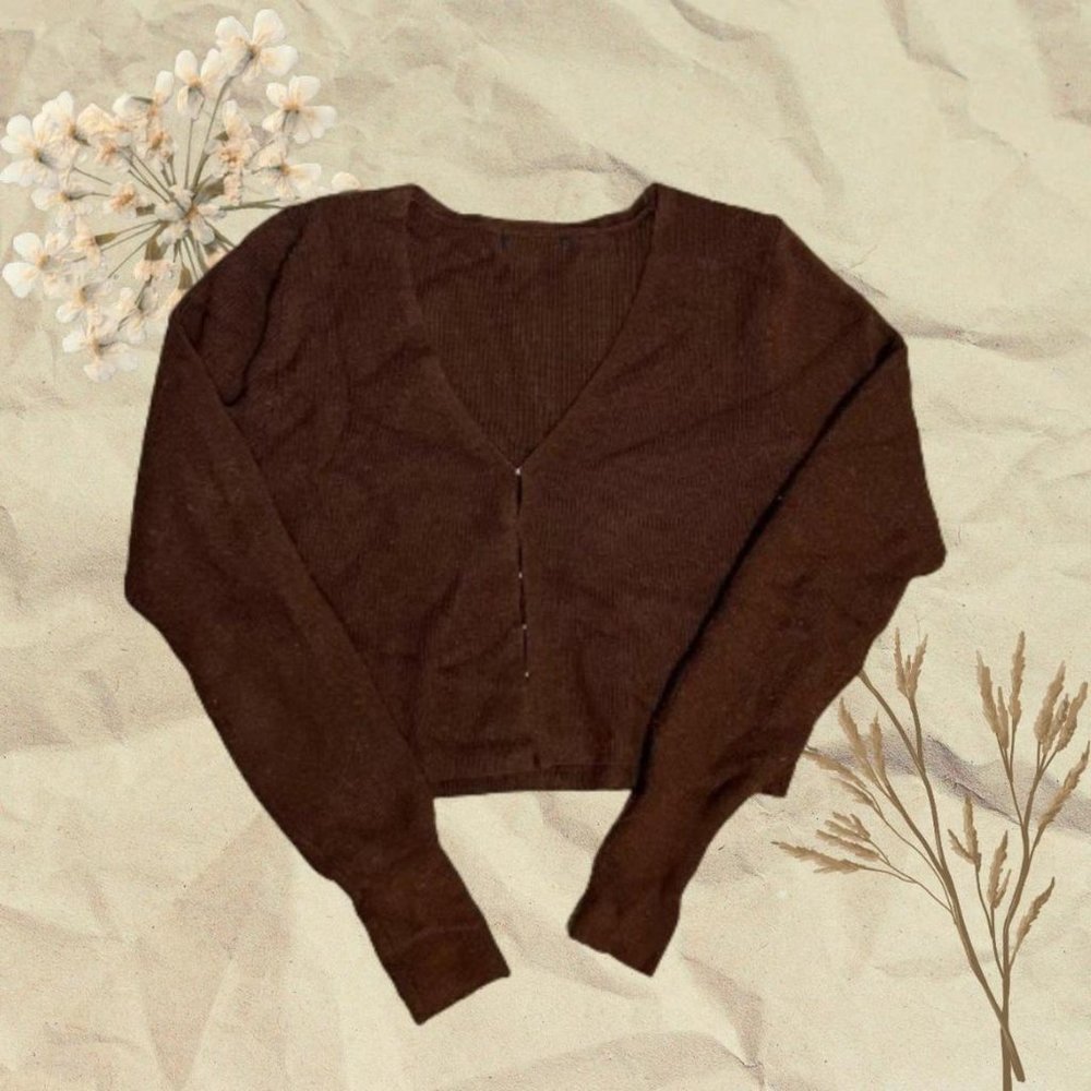 Clasped Front Brown Sweater Size